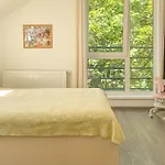 Central Brasov Apartment