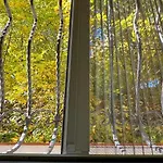 Central Brasov Apartment *