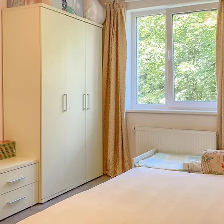 Central Brasov Apartment Apartman *