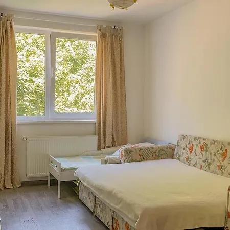 Central Brasov Apartment