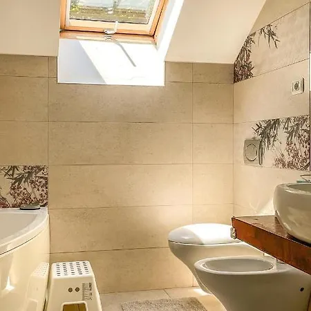 Central Brasov Apartment Brassó