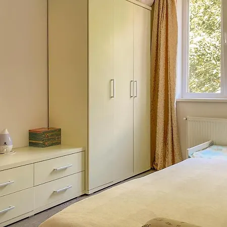 Central Brasov Apartment Apartman *