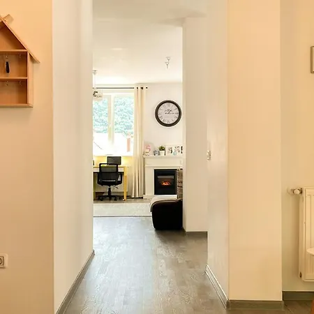 Central Brasov Apartment Apartman