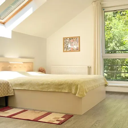 Central Brasov Apartment Brassó