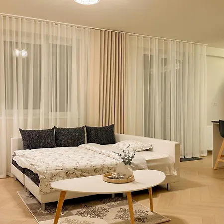 Central Brasov Apartment