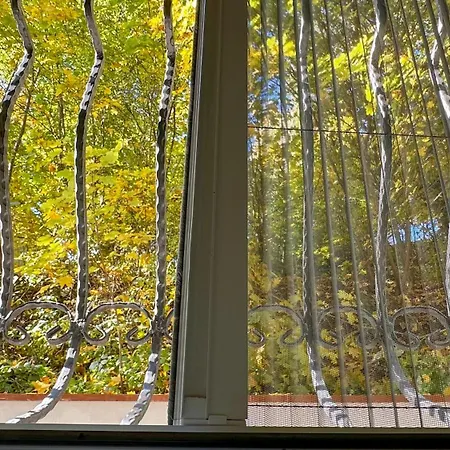 Central Brasov Apartment *