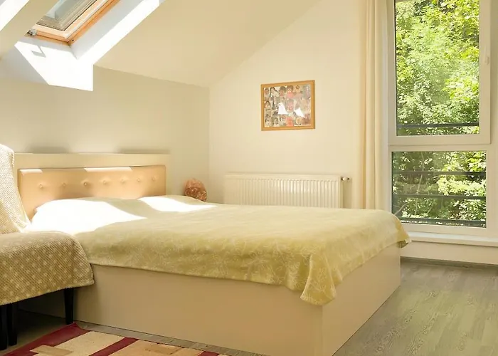 Central Brasov Apartment דירה *