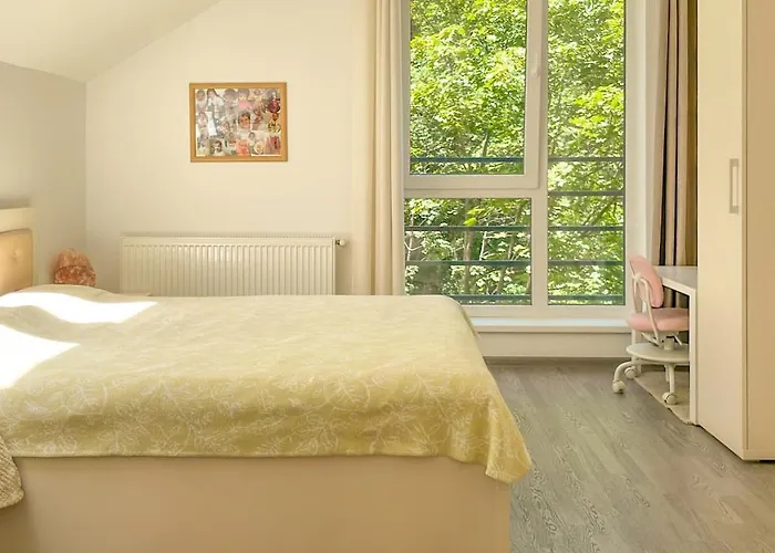 Central Brasov Apartment