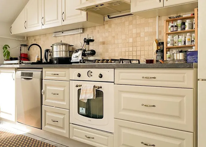 Central Brasov Apartment דירה