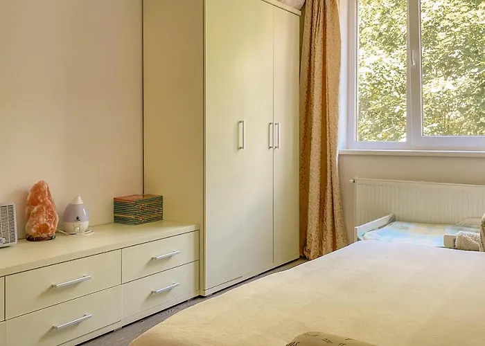 Central Brasov Apartment Apartment *