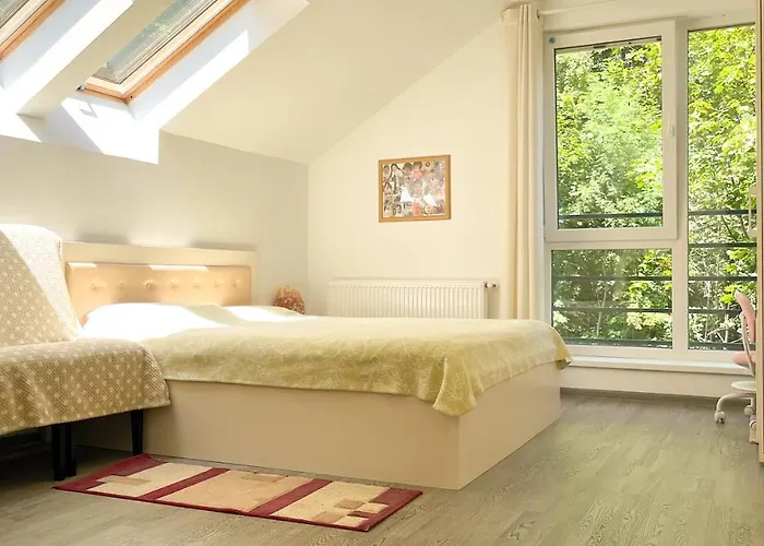 Central Brasov Apartment בראשוב