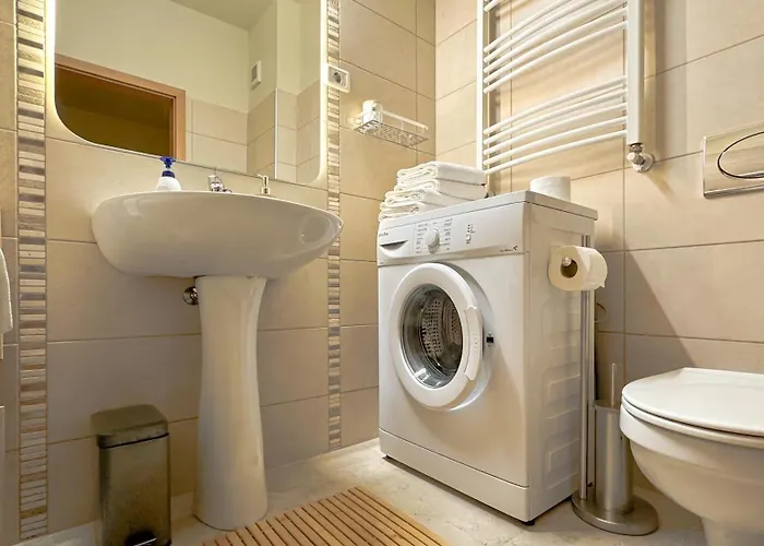 דירה Central Brasov Apartment בראשוב