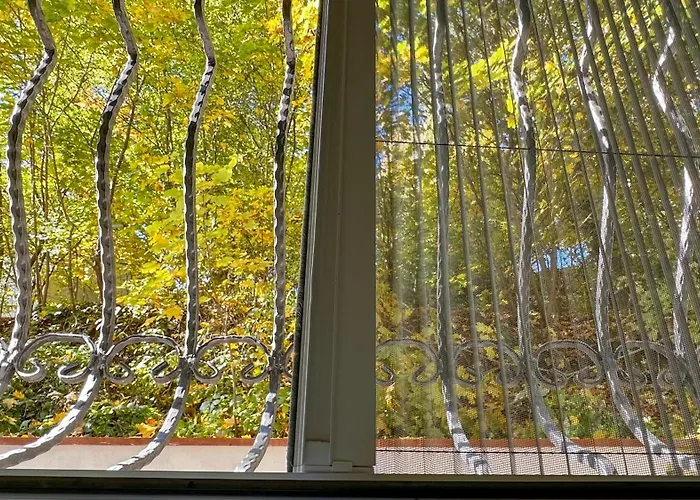 Central Brasov Apartment *